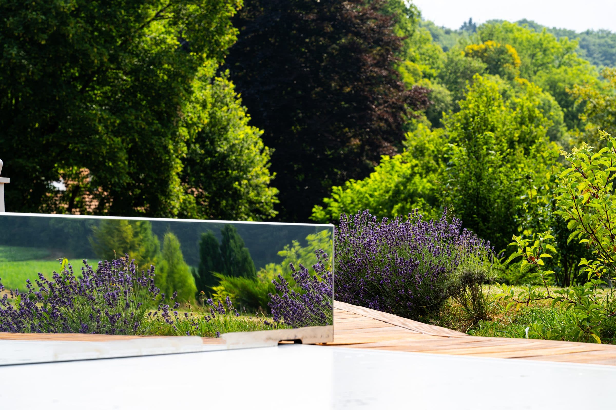 Mirror housing reflects the garden